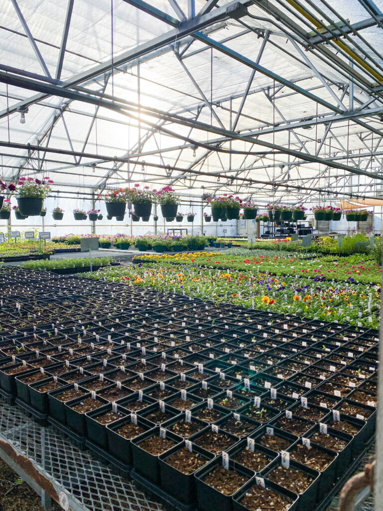 CETC Greenhouse